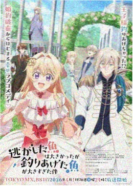 魔法少女 星之梦